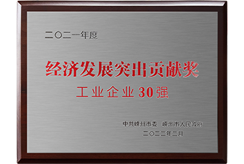 经济发展突出贡献奖 工业企业30强