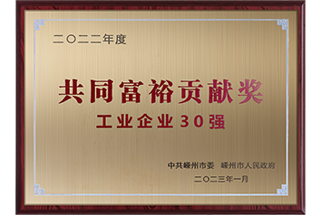 共同富裕贡献奖 工业企业30强